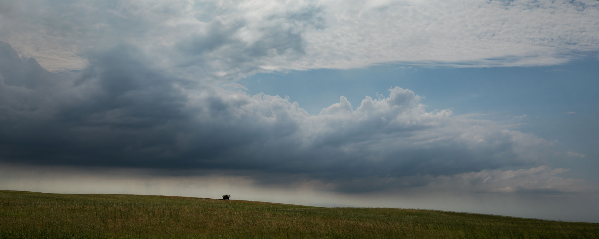 Mesonet Collects Weather Data in Real-Time