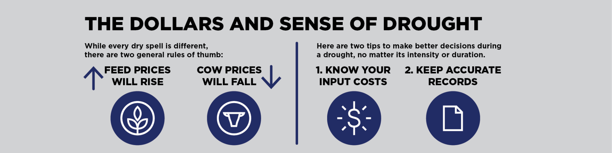 The dollars and sense of drought: 
While every dry spell in different, there are two general rules of thumb: 
Feed prices will rise, and cow prices will fall. 
Here are two tips to make better decisions during a drought, no matter its intensity or duration: 
1. Know your input costs. 
2. Keep accurate records.