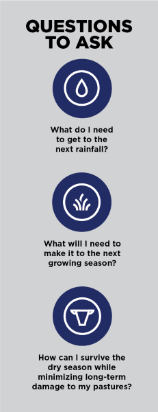 Drought questions to ask:
What do I need to get to the next rainfall? 
What will I need to make it to the next growing season? 
What will I need to make it to the next growing season? 
How can I survive the dry season while minimizing long-term damage to my pastures?