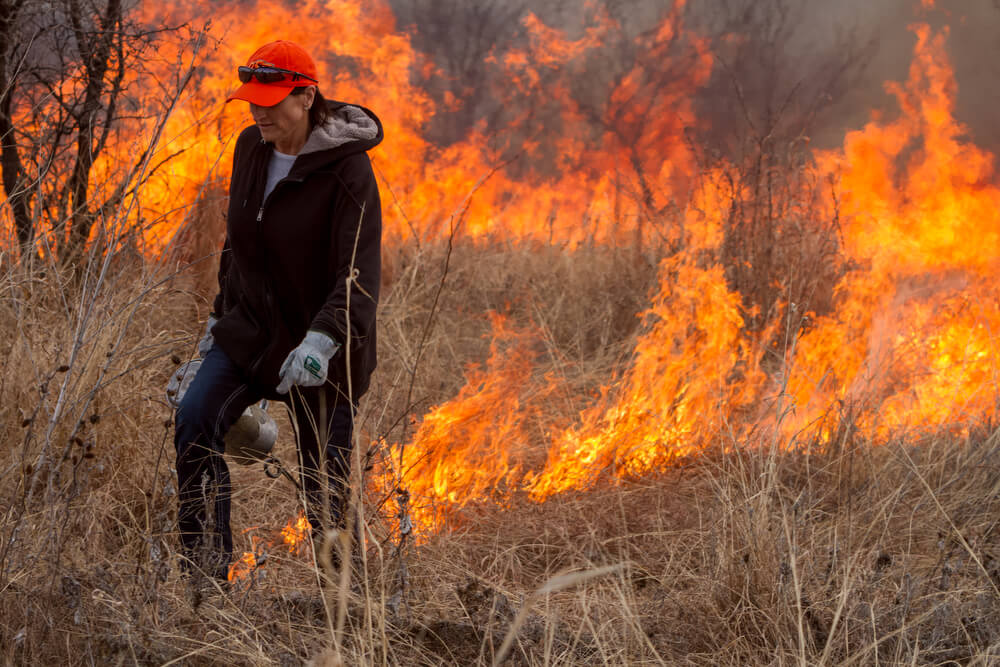 A prescribed burn being ignited on rangeland