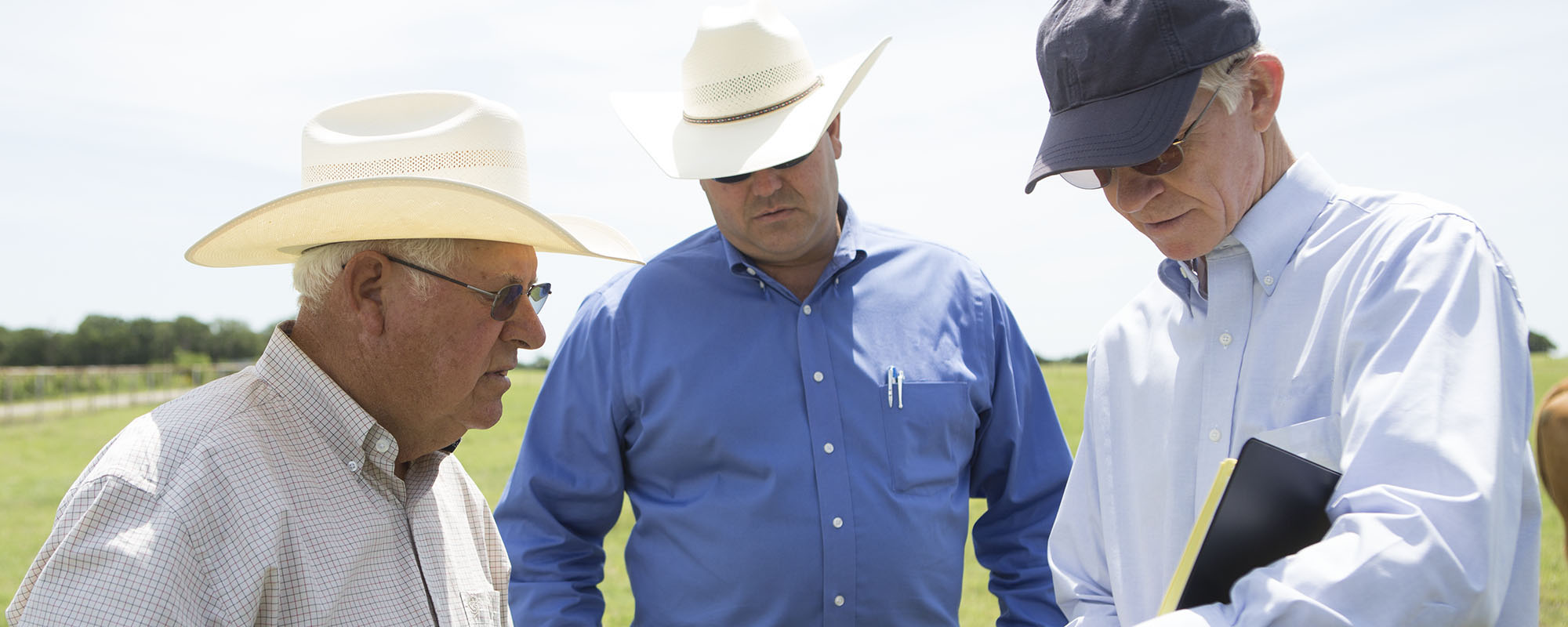Agriculture consultants talking with a rancher