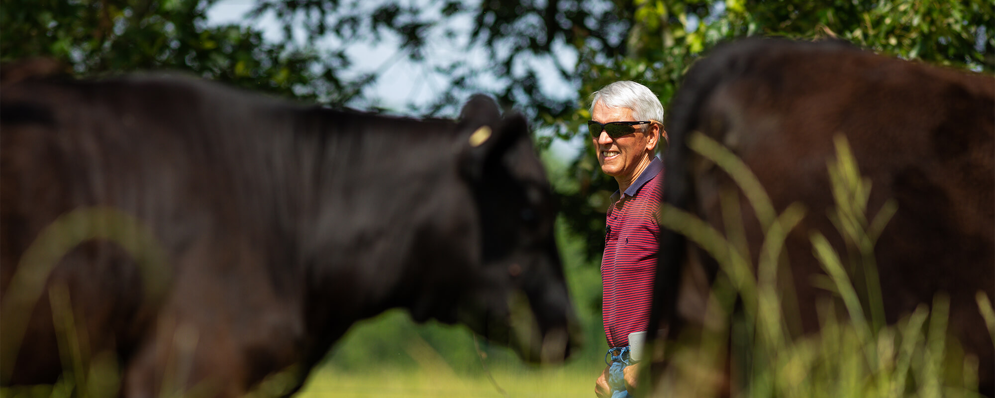 Cooper Hurst has benefited from implementing regenerative practices on his cattle ranch in Woodville, Mississippi. "We really feel like we have become a lot more resilient. We can’t make it rain, but we can make sure rain stays on our farm."