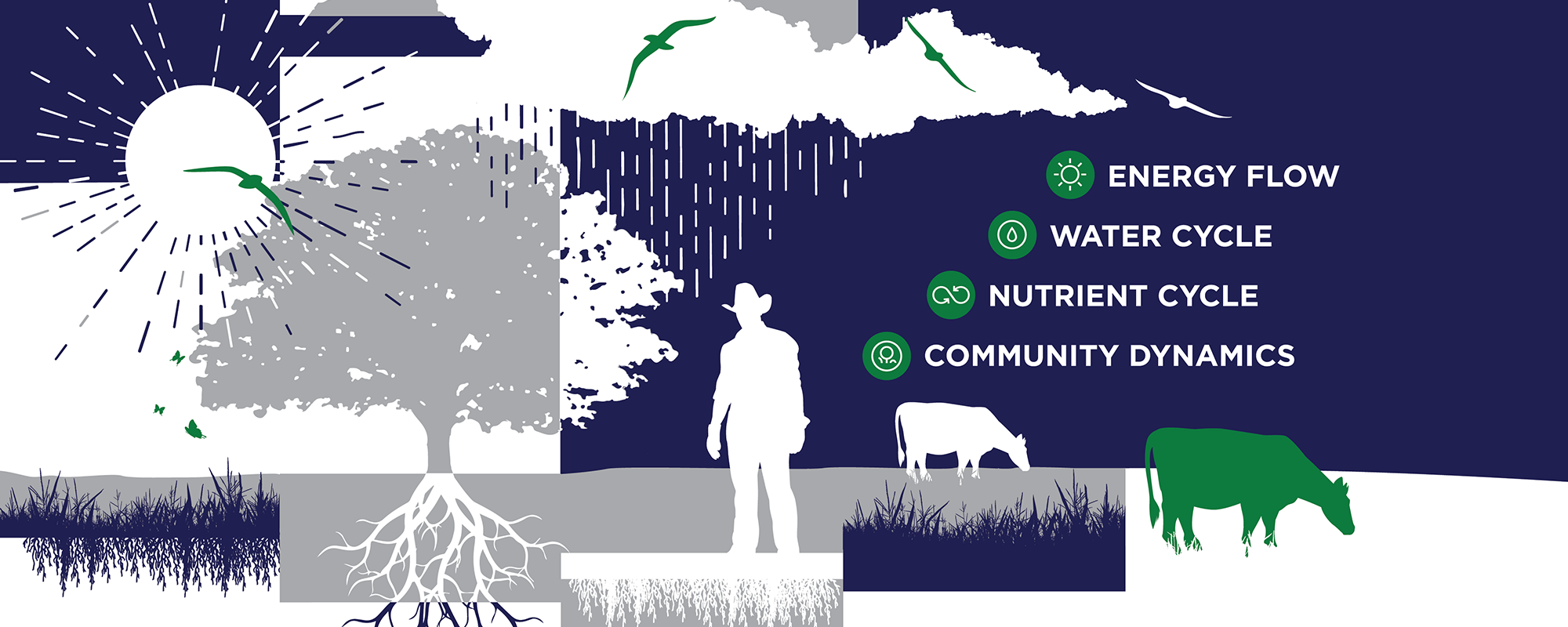 Graphic Illustrating the four ecosystem processes: Energy Flow, Water Cycle, Nutrient Cycle, Community Dynamics.