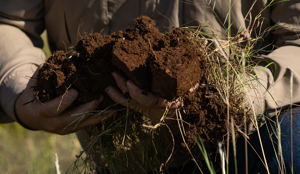 handling the soil