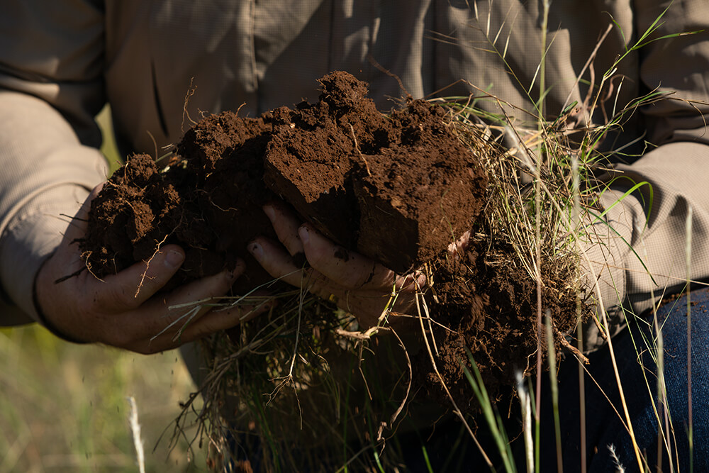 A ranch consultant holds a clump of healthy soil