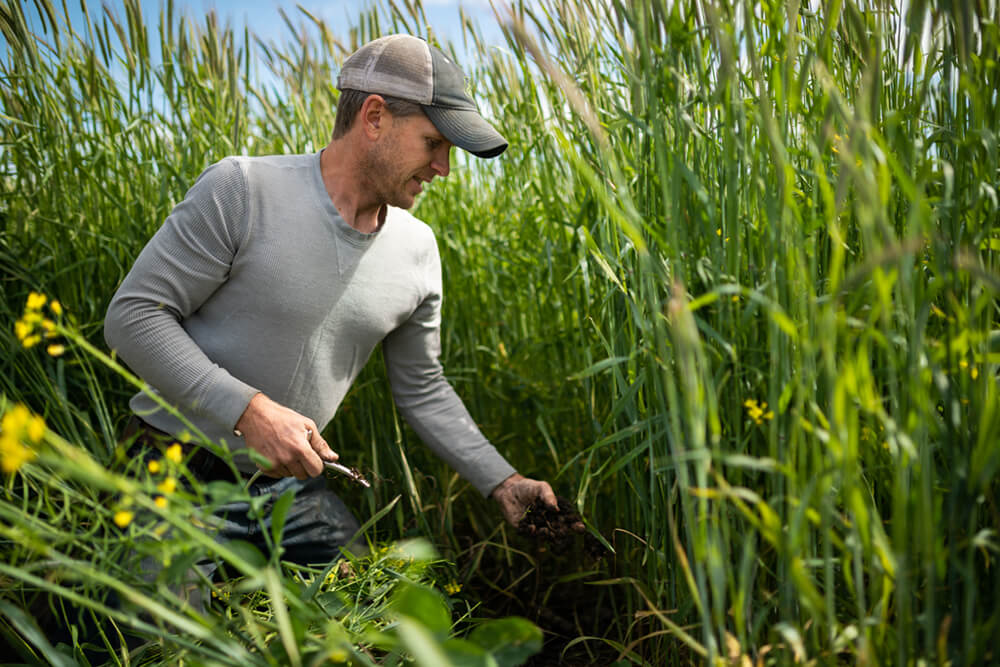 Jon Hemme inspects the soil in his regenerative pasture