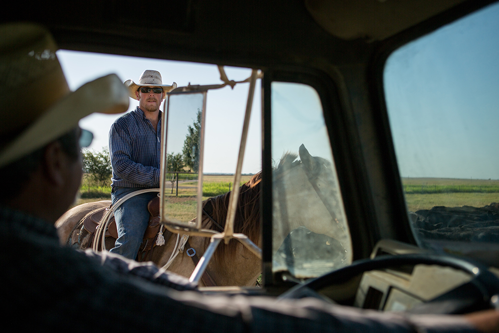 Rancher on horse talks with rancher in truck.