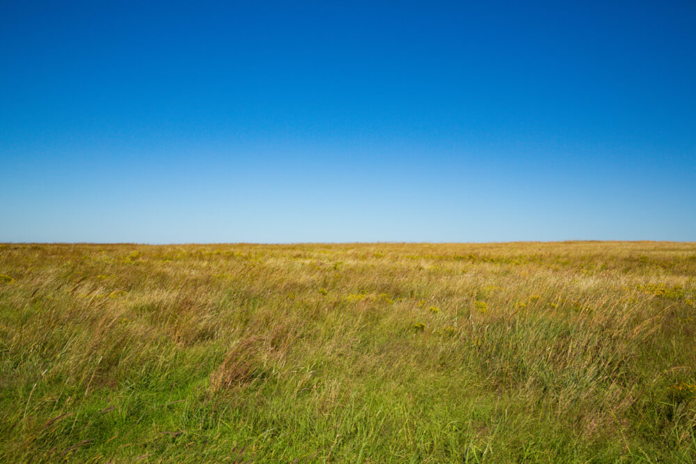 Grassy fields under clear blue skies