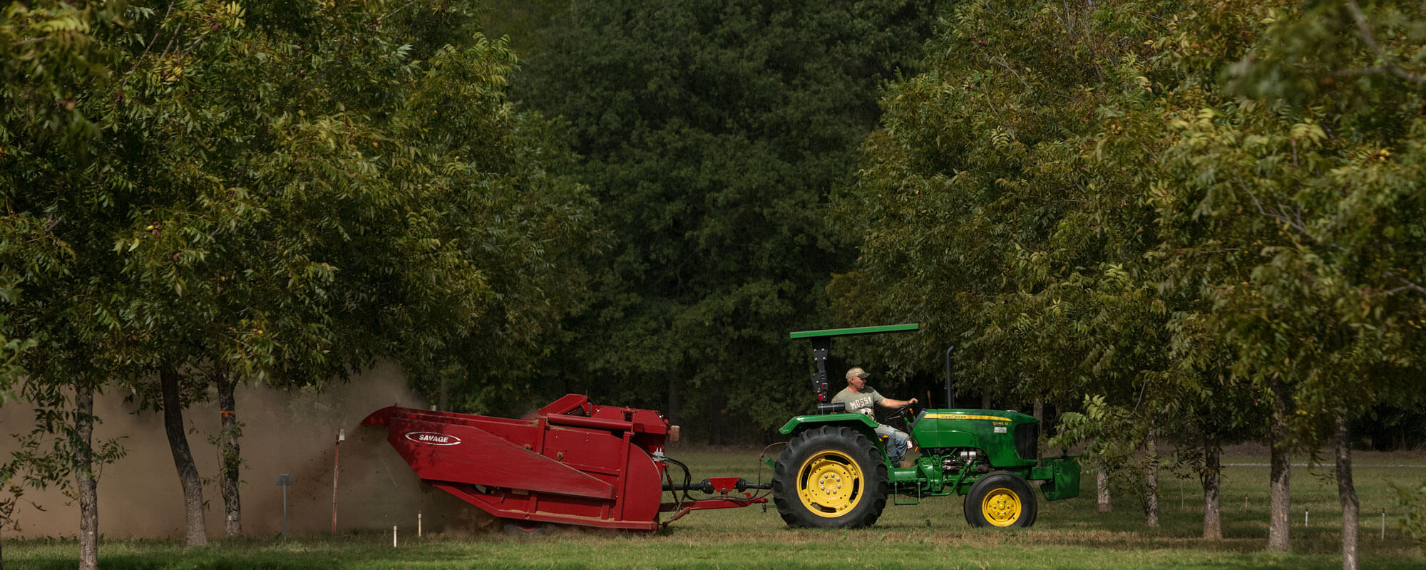 Tractor pulling pecan harvester
