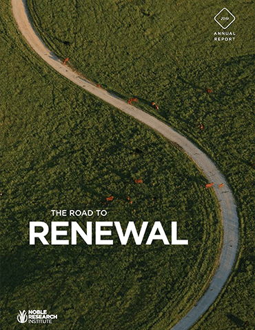 2019 Annual Report | The Road to Renewal
