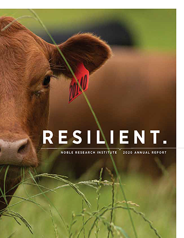2020 Annual Report | Resilient.