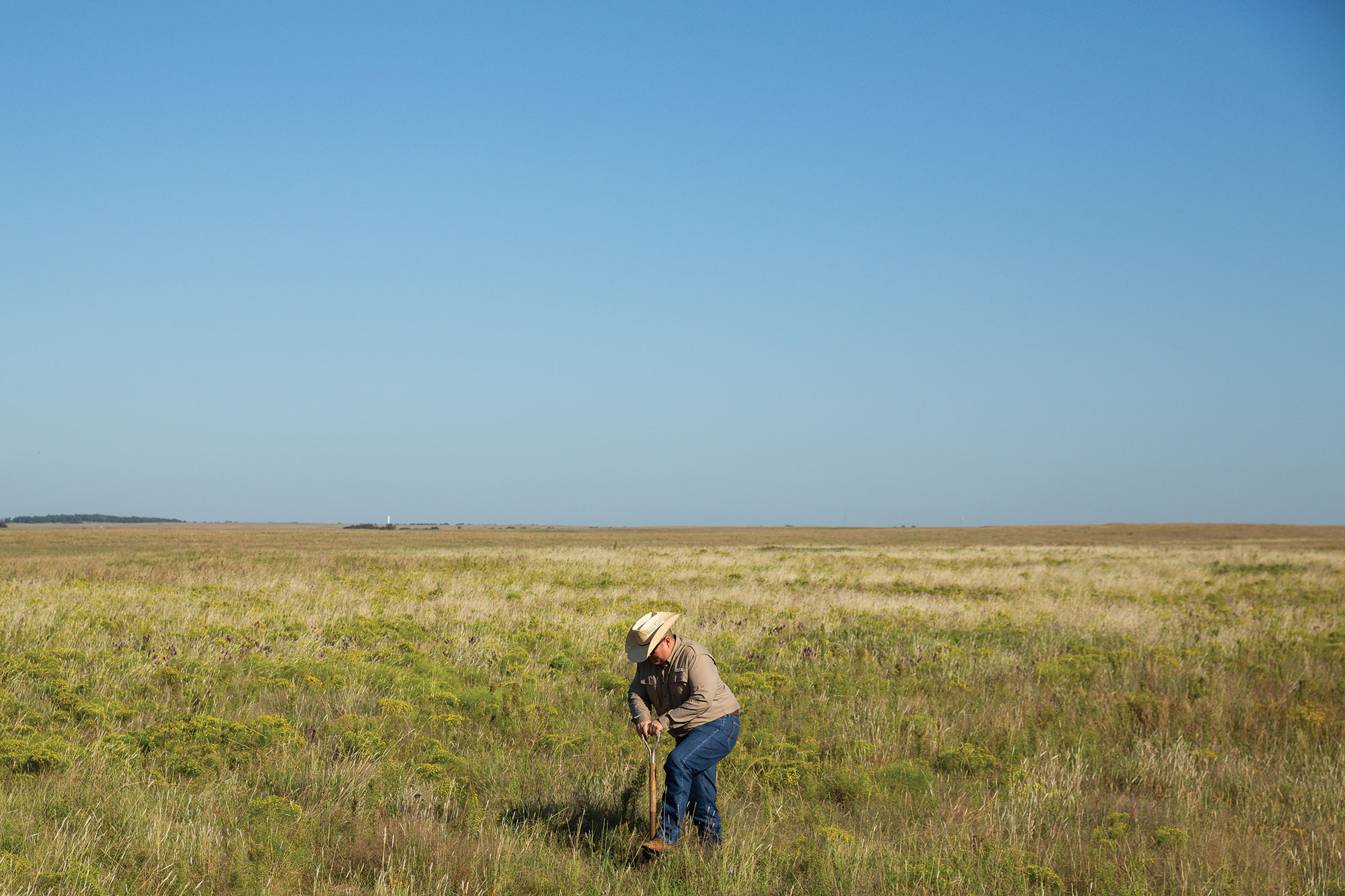 Jeff Goodwin digs in pasture for soil samples