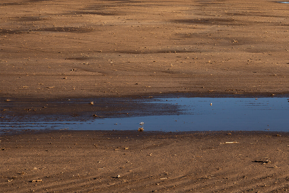 Bare tilled ground with standing water