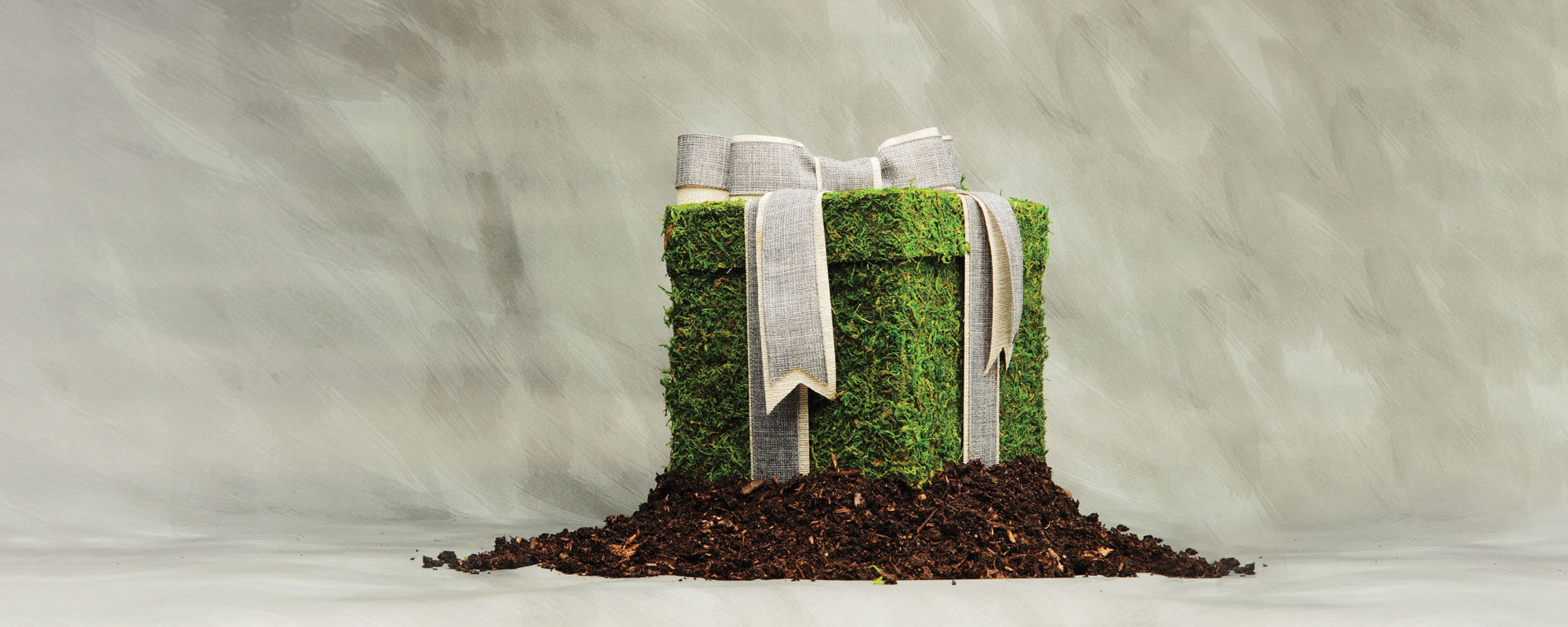 Gift box made of grass and soil