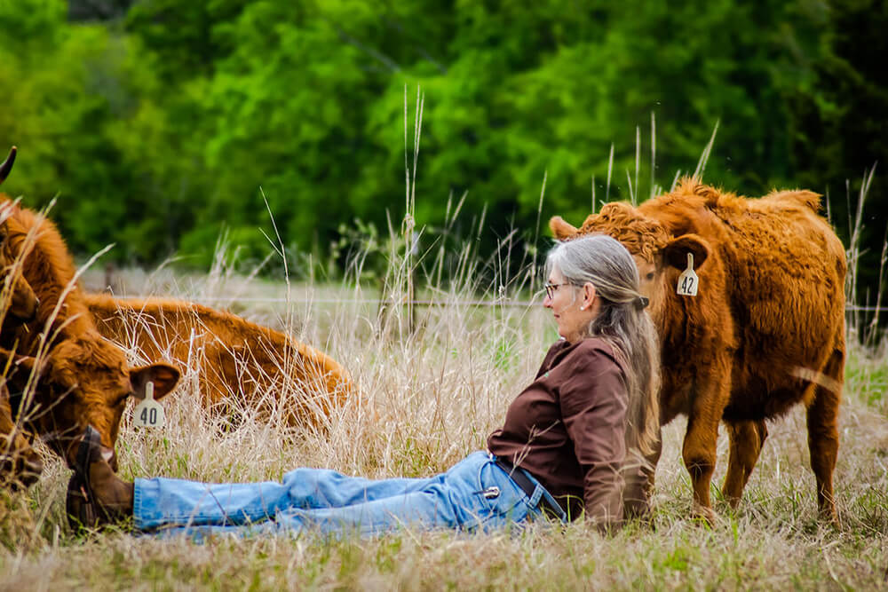 Christine sitting with her cattle
