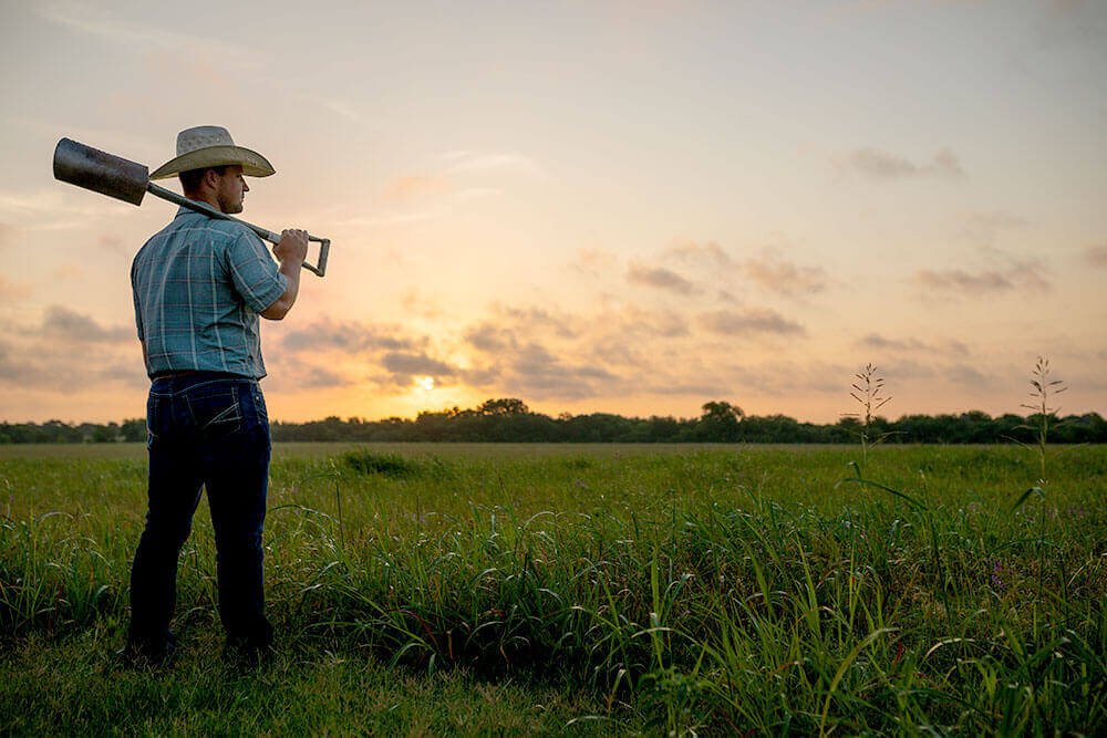 Clark Roberts observes a field at sunrise
