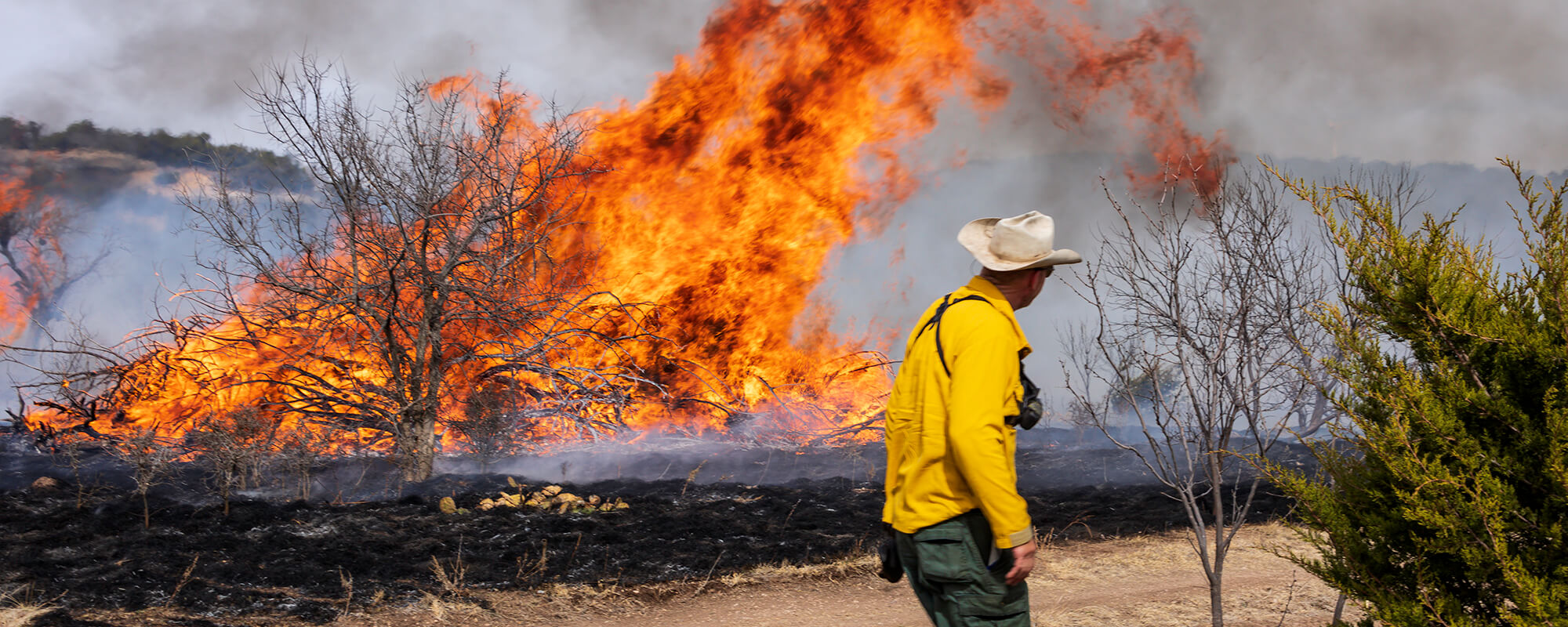 Rancher conducting a controlled burn