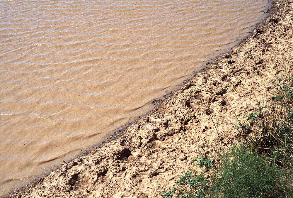A pond with heavy hoof-prints in the sand on the shore