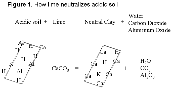 Figure 1 depicting how lime neutralizes acidic soil on a chemical level
