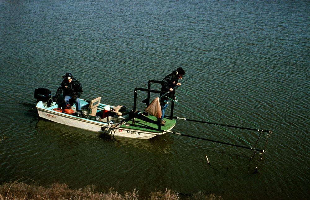 Figure 3. collecting bass in pond