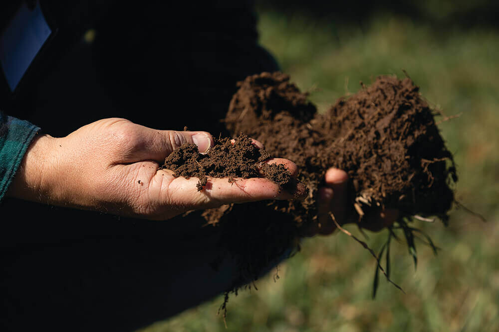 Hands of a rancher holding healthy soil