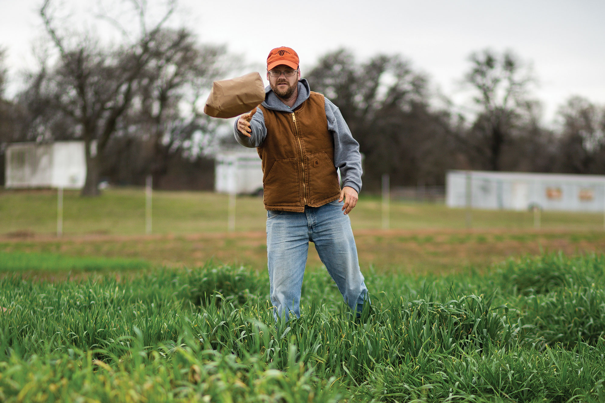 Josh Anderson, senior research associate, works in the field as part of the small grains program.
