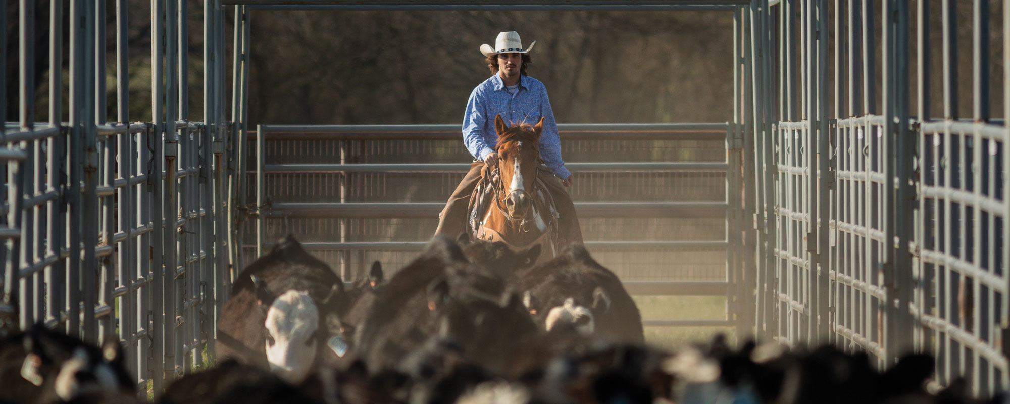 Rancher Frank Rhoades on horseback