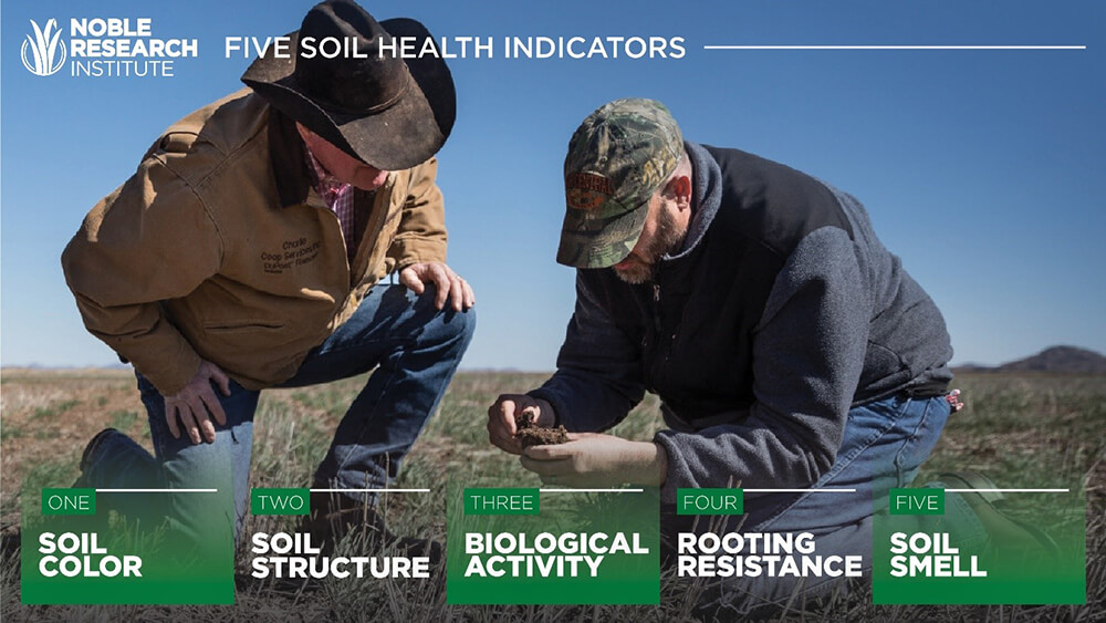 Infographic: The Five Soil Health Indicators are 1. Soil Color, 2. Soil Structure, 3. Biological Activity, 4. Rooting Resistance, and 5. Soil Smell.