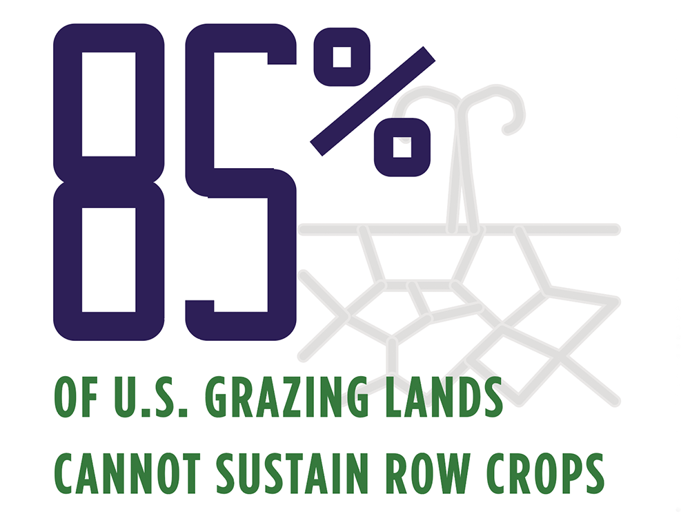 Infographic showing statistics about grazing lands. Transcript provided below.
