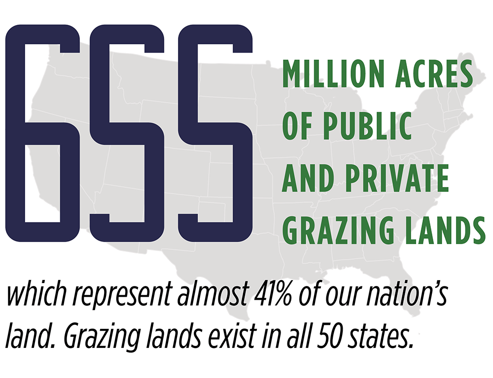 Infographic showing map of the United States and statistics about grazing lands across the 50 states. Transcript provided below.
