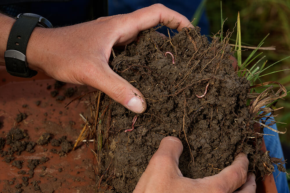Inspecting soil