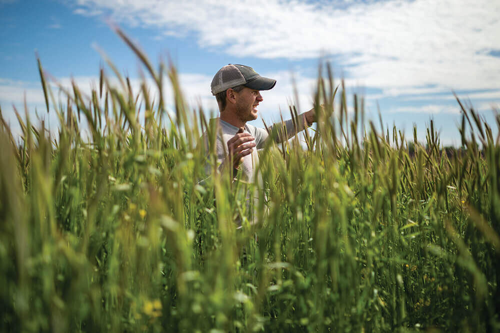 Jon Hemme stands in a pasture of tall forage