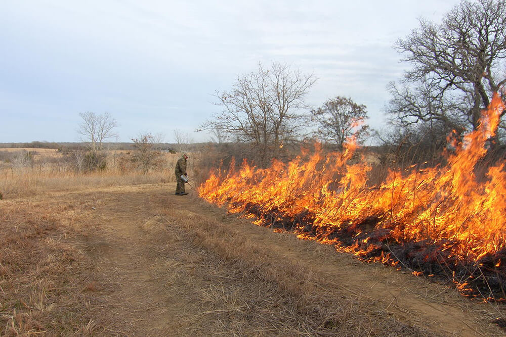 Noble consultants lighting a pasture for a prescribed burn.