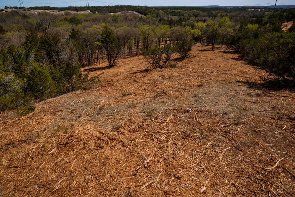 An area that has been mulched with a mechanical mulcher