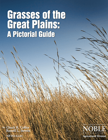Grasses of the Great Plains: A Pictorial Guide