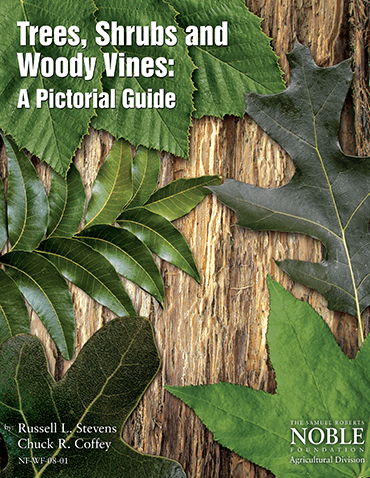 Trees, Shrubs and Woody Vines: A Pictorial Guide