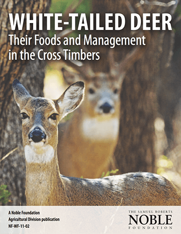 White-Tailed Deer: Their Foods and Management in the Cross Timbers