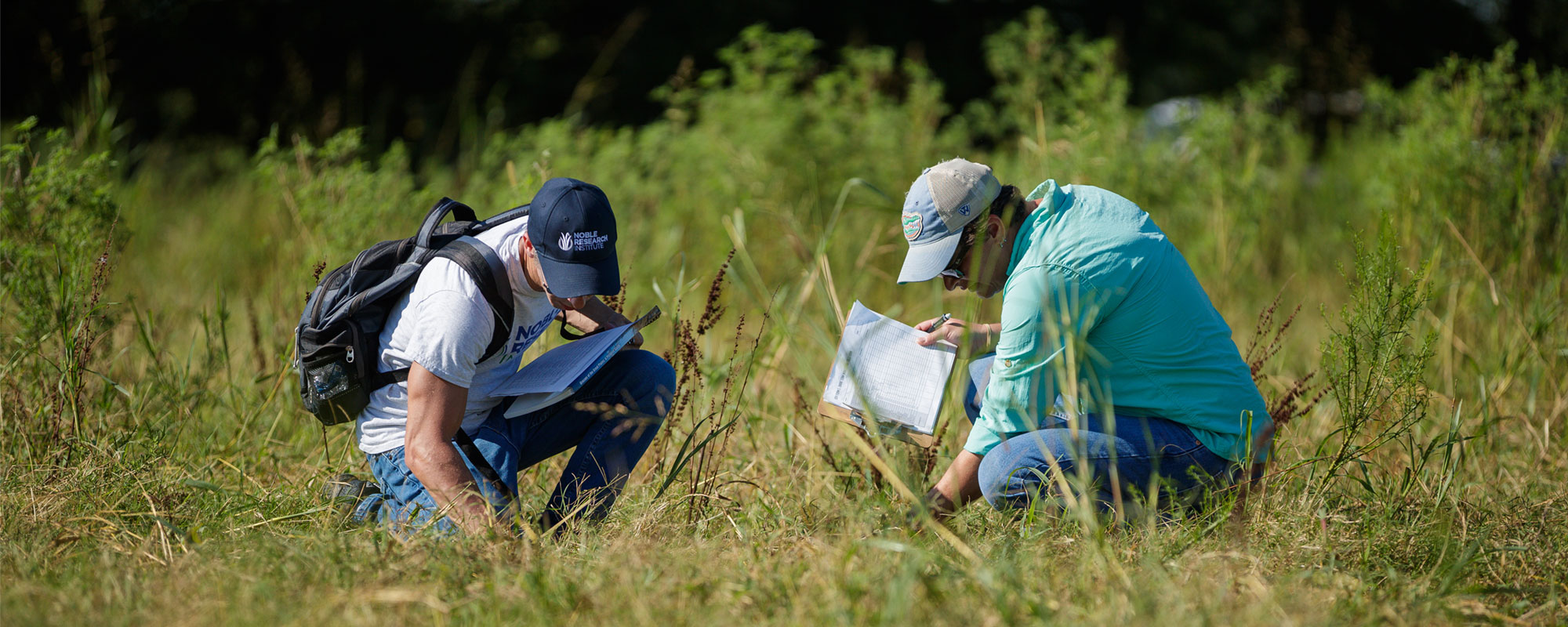 Noble Employees, Andrew Bancroft and Sindy Interrante, examine a regenerative pasture and take notes.