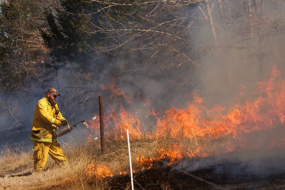 Noble Ranch staff conduct a prescribed burn at Oswalt Ranch.