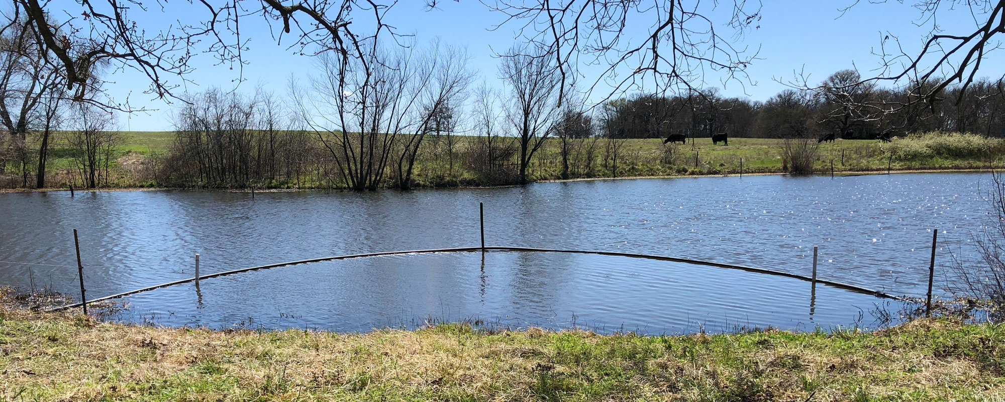 Pond fencing at access point