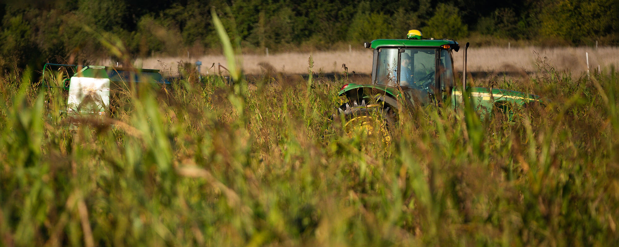Shawn Norton drives a tractor pulling a no-till drill in a cover crop field.