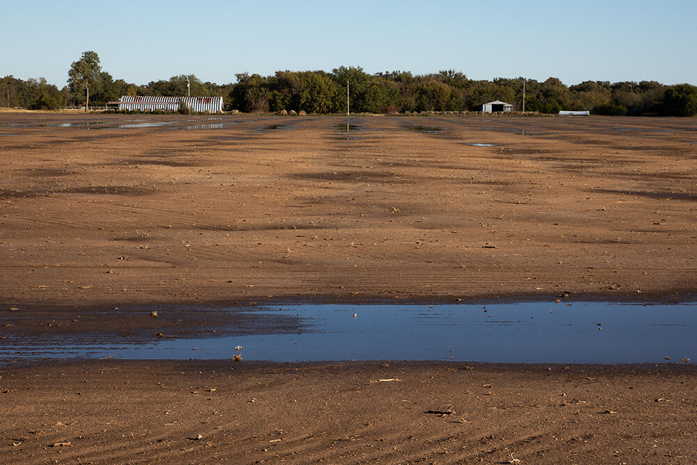 Standing water and bare soil on a tilled field