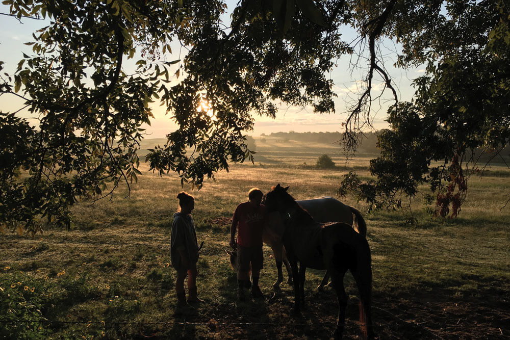 Two ranchers with horses under tree in pasture at sunset