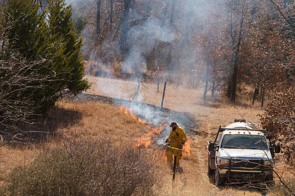 Ranch team member using a drip torch to start a prescribed burn