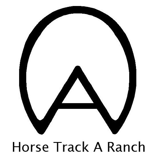 Horse Track A