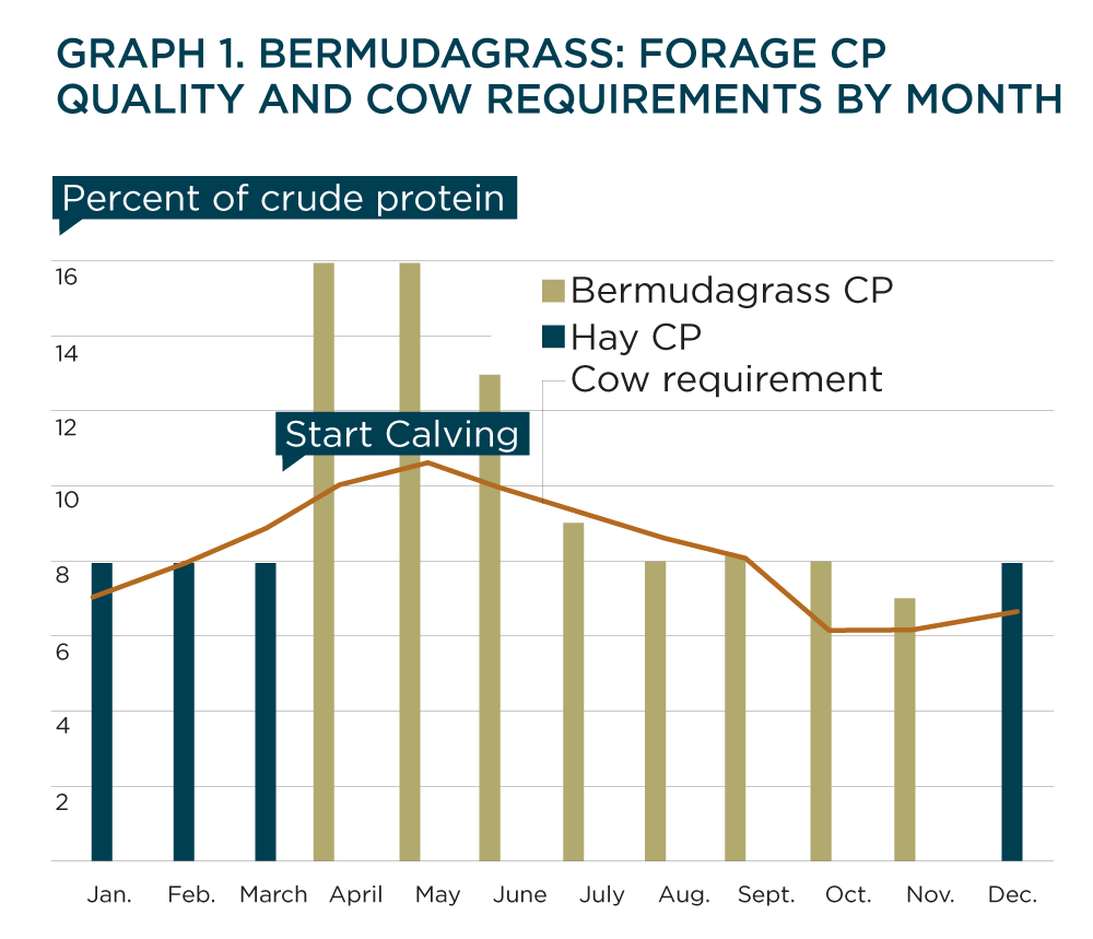 Graph 1. bermudagrass: forage cp quality and cow requirements by month