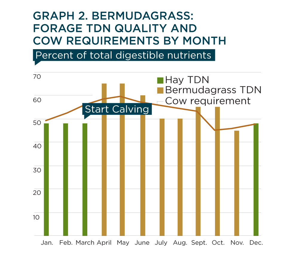 Graph 2. bermudagrass: forage tdn quality and cow requirements by month