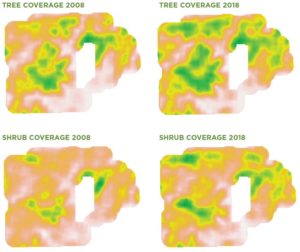 Tree and Shrub coverage maps over a 10 year period