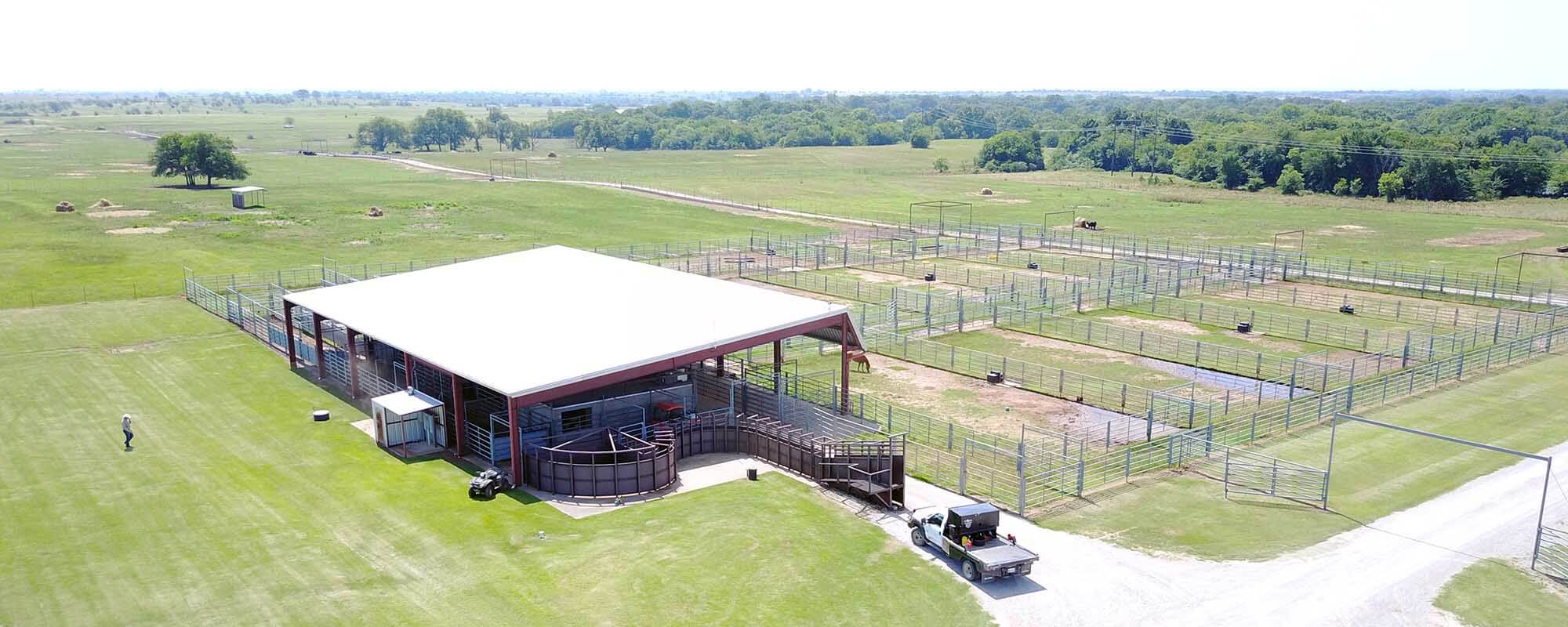Aerial view of a cattle handling facility