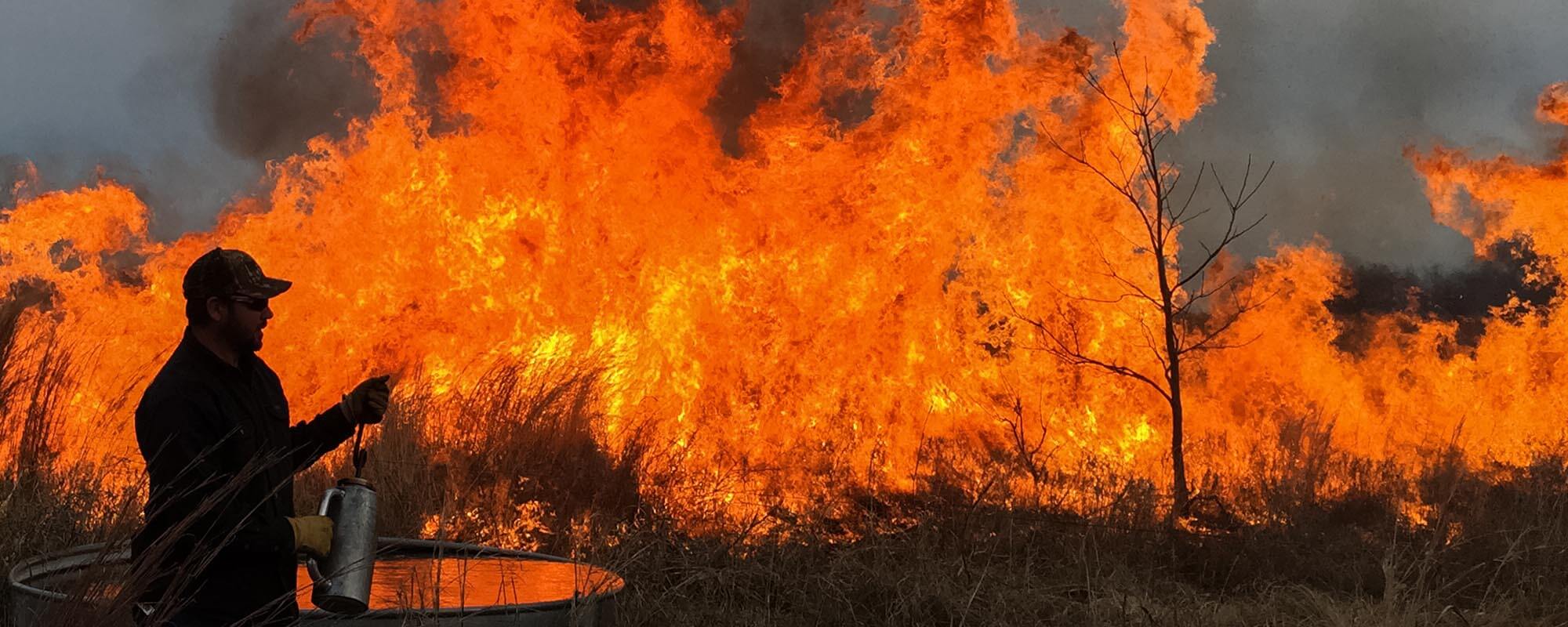 man standing by burning field